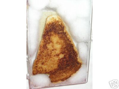 Tajemniczy sandwich