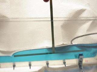 Symulator tsunami