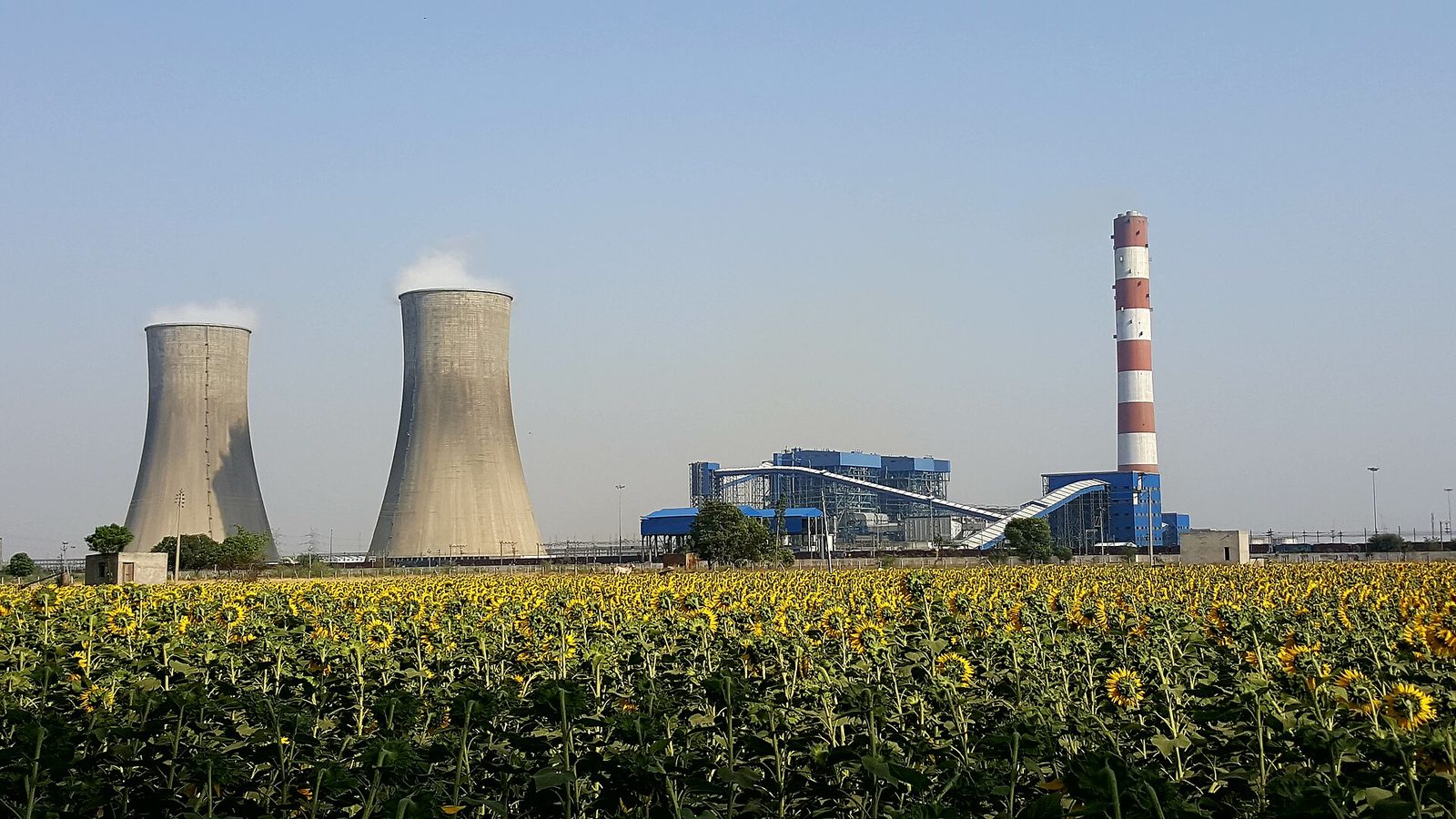 Elektrownia węglowa Rajpura w Pendżabie. Fot. Npl-User1234 / Wikimedia Commons, CC BY-SA 4.0