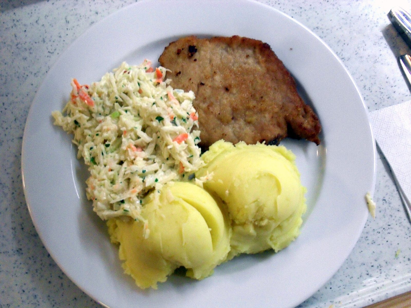 Kotlet schabowy z ziemniakami i surówką na talerzu stołówkowym. Porcja mięsa ma się pojawiać dwa razy w tygodniu i musi pochodzić z mięsa świeżego. Fot. Marycha80 / Wikimedia Commons, CC BY-SA 4.0